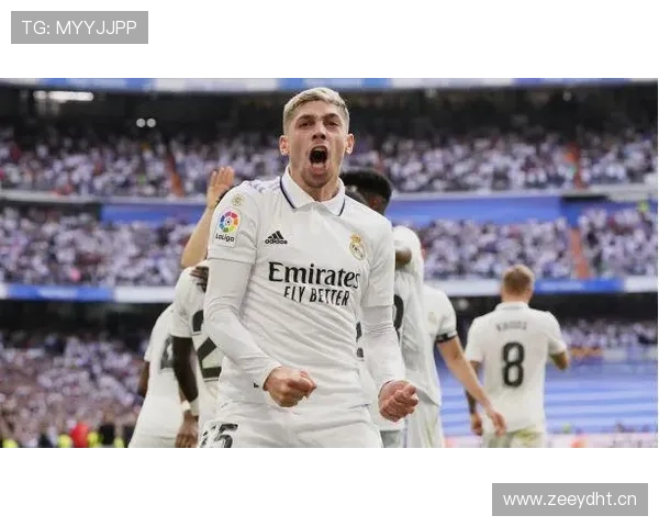 巴尔韦德B2B全能覆盖能力解析