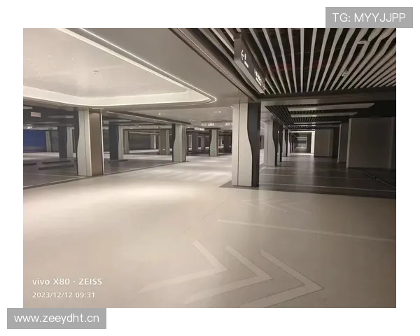 李宗伟退役后住的豪宅，光车库就比我家还大