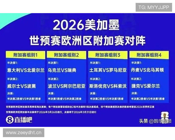 波黑队2026世界杯首次回归前景预测 波黑队2026世界杯首次回归前景预测